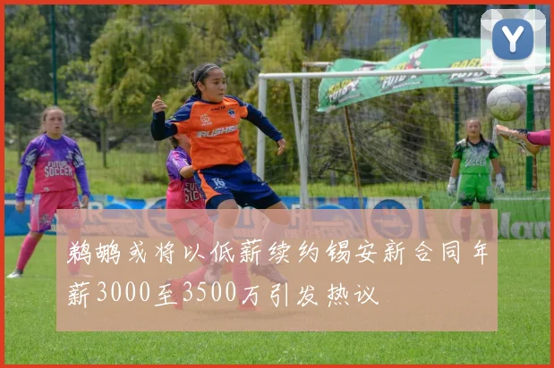 鹈鹕或将以低薪续约锡安新合同年薪3000至3500万引发热议