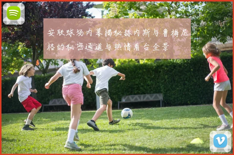 安联球场内幕揭秘赫内斯与鲁梅尼格的秘密通道与热情看台全景